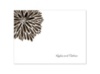Burst of Color - Chocolate - Thank You Card and Envelope
