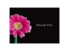 Delicate Daisy - Thank You Card and Envelope