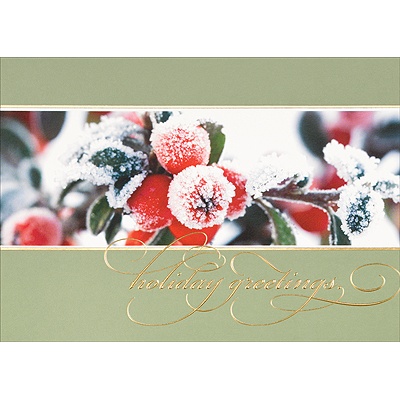 Holiday Frost
