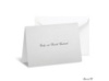 Silver Shimmer Note Card and Envelope