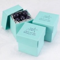 Aqua Lidded Favor Boxes