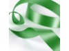Grass Satin Ribbon