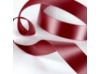 Merlot Satin Ribbon