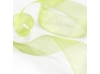 Margarita Sheer Ribbon