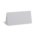Silver Shimmer Place Card - Blank