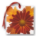 Petite Zinnia Wedding Invitation