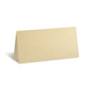 Champagne Shimmer Place Card - Blank