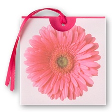 Petite Gerbera Daisy Wedding Invitation