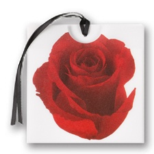 Petite Rose Wedding Invitation