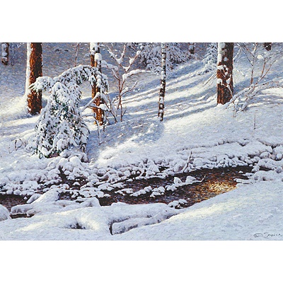Winter Land