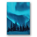 Northern Beauty Holiday Card
