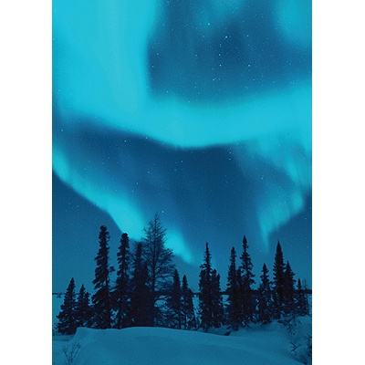 Northern Beauty Holiday Card