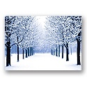 Peaceful Path Holiday Card