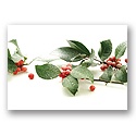 Frosted Berries Holiday Card