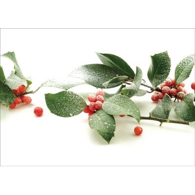 Frosted Berries Holiday Card