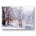 Frozen Forest Holiday Card