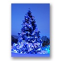 Snow Glow Holiday Card