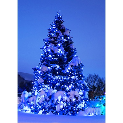 Snow Glow Holiday Card