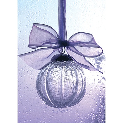 Cool Decor Holiday Card