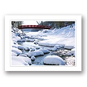 Meandering Holiday Card