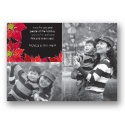 Vivid Poinsettias Photo Holiday Card