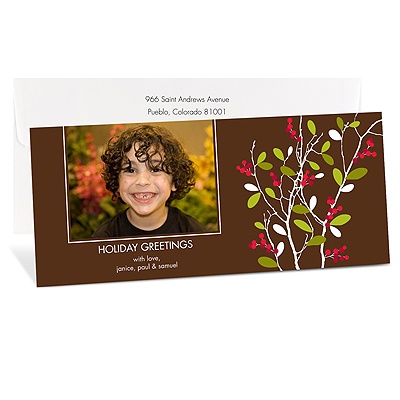 Winter Branch Tea Length Photo Holiday Card