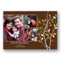 Winter Branch Photo Holiday Card