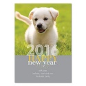 Fresh Start Photo Holiday Card
