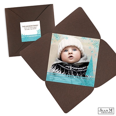 Winter Scene Photo Holiday Card
