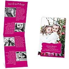 Little Garland Storyline Photo Holiday Card - Raspberry