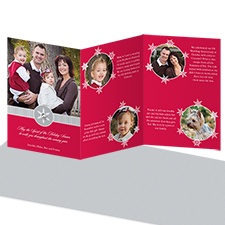 Snowy Frames Storyline Photo Holiday Card - Velvet