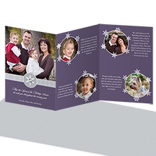 Snowy Frames Storyline Photo Holiday Card - Raisin