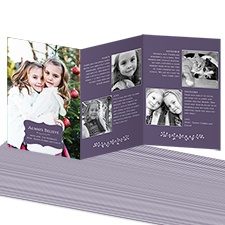 Classic Crest Storyline Photo Holiday Card - Raisin