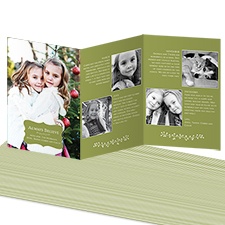 Classic Crest Storyline Photo Holiday Card - Kiwi