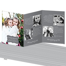 Classic Crest Storyline Photo Holiday Card - Pewter