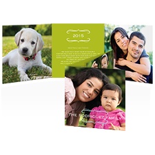 So Striped Photo Holiday Card - Granny Apple