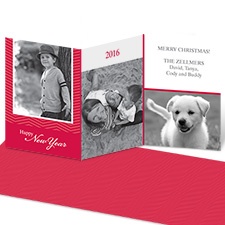 Chic Chevron Photo Holiday Card - Velvet