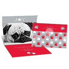 Paws for Joy Seal and Send Photo Holiday Card - Cherry