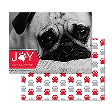 Paws for Joy Photo Holiday Card