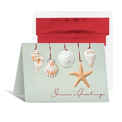 Seashells Holiday Card