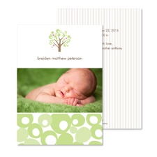 Family Tree Photo Baby Announcement