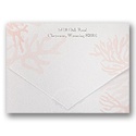 Coral Treasures - Seal and Send Invitation