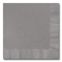 Pewter Dinner Napkin