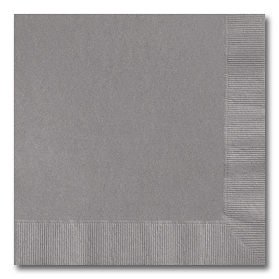 Pewter Dinner Napkin