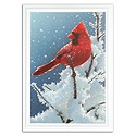 Cherry on Top Card