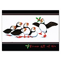 Puffins Card