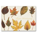 Shades of Fall Card