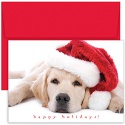Santa Puppy Boxed Holiday Card