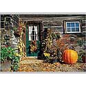 Home For Thanksgiving Postcard