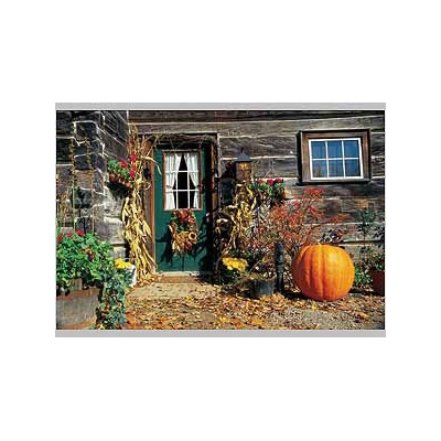 Home For Thanksgiving Postcard